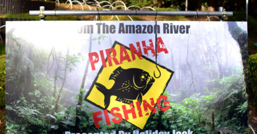 【東京・品川】釣りイベント!アマゾンのギャングスターが日本で釣れた!!