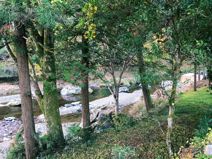 埼玉県 Cazuキャンプ場で幻想的なホタルの灯りを見ながらキャンプしよう キャンプ アウトドアのtakibi タキビ