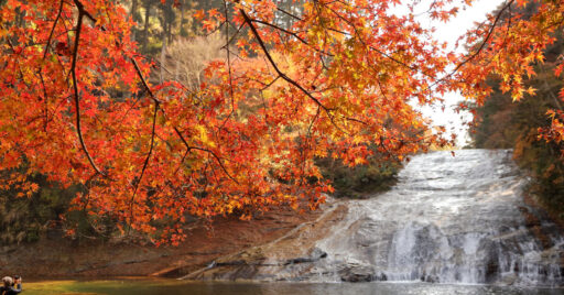 養老渓谷周辺のキャンプ場特集!バーベキューや温泉が楽しめるキャンプ場からグランピングまで養老渓谷おす…