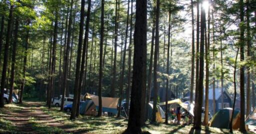 気軽に楽しめるデイキャンプ!デイキャンプの魅力とは?関東近郊のおすすめの施設7選!無料キャンプ場もご…