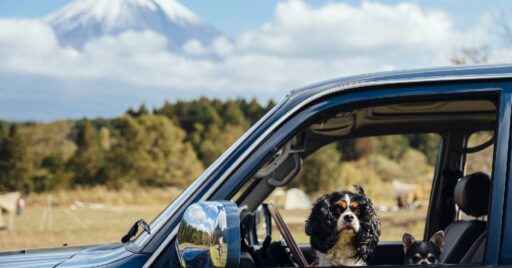 【初心者必見】設備充実!自然も満喫できる!関東の大人気キャンプ場【前編】