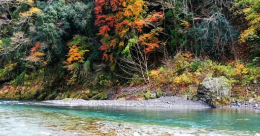 みんなが知らない東京の顔!自然と遊ぼう!東京郊外のおすすめキャンプ場!