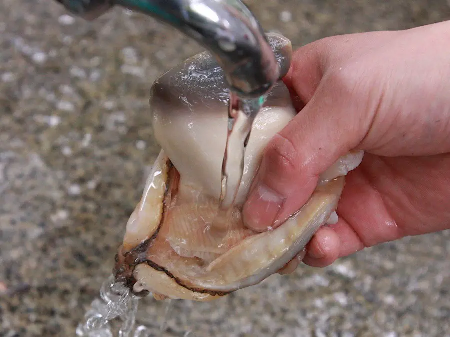 q バーベキューで失敗しない 魚介類の食べ方 焼き方 捌き さばき 方 海老 鮎 イカ ホッキ貝編 ーそとごはんー Takibi タキビ キャンプ アウトドアの総合情報サイト Page 5