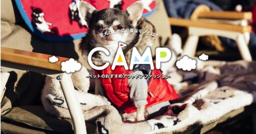 ペットのおすすめアウトドアファッション!愛犬が快適に走りまわるために何が必要?