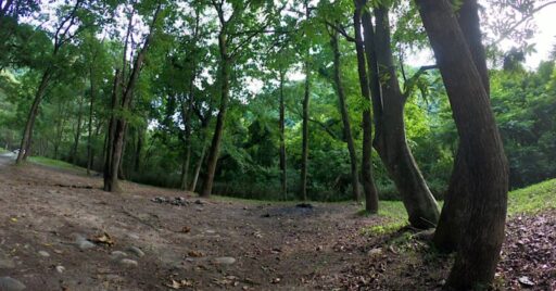 【広島県】無料で楽しめる柳瀬キャンプ場でワイルドキャンプ!