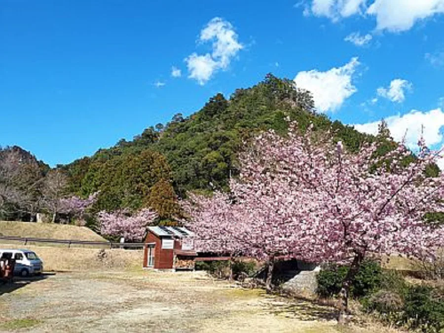 関西地方のお花見ができるキャンプ場 キャンプ アウトドアのtakibi タキビ