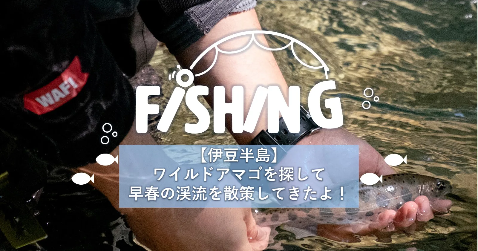 伊豆半島 ワイルドアマゴを探して早春の渓流を散策してきたよ キャンプ アウトドアのtakibi タキビ