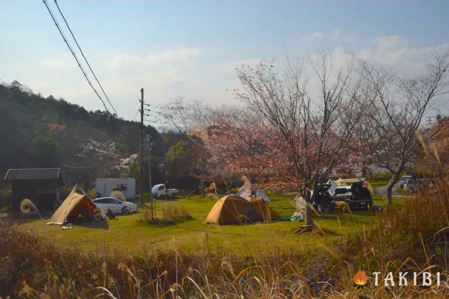 兵庫県 チェックイン アウトフリー 車横付け可能な牧野キャンプ場 キャンプ アウトドアのtakibi タキビ