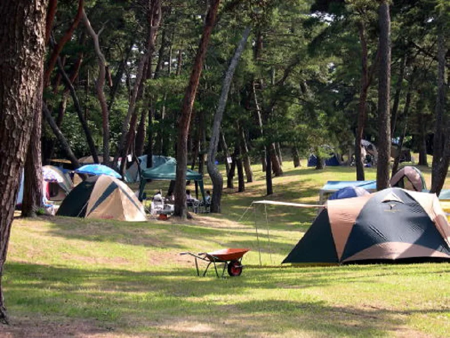 関東地方にある予約が取りやすい穴場のキャンプ場 キャンプ アウトドアのtakibi タキビ
