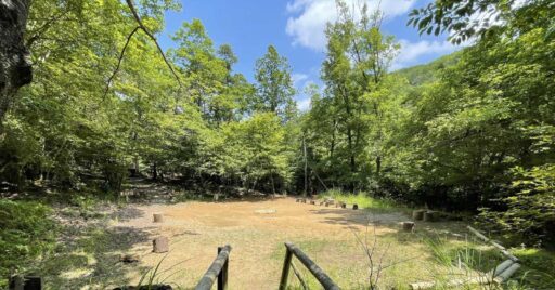 【大阪府】豊中市立青少年自然の家わっぱる|自然のままの森と川をどちらもまとめて楽しめる!