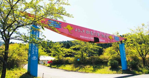【熊本県】四季の里旭志キャンプ場|赤ちゃんカンガルーがいる!?子供たちと楽しめるキャンプ場