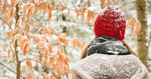 寒い冬でも大丈夫?エリア別におすすめのグランピング施設をご紹介!