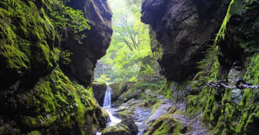 檜原村にあるグランピング施設・渓谷グランピングテントはどんな施設?