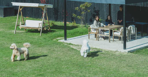 【ペット可】関東のおすすめグランピング19選!ペットと泊まる時の注意点も